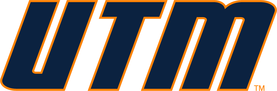 Tennessee-Martin Skyhawks 2007-2020 Wordmark Logo iron on transfers for clothing